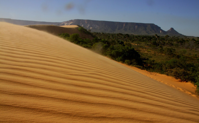 As dunas formam um cenário impressionante de areia dourada que contrasta com o céu azul do Jalapão