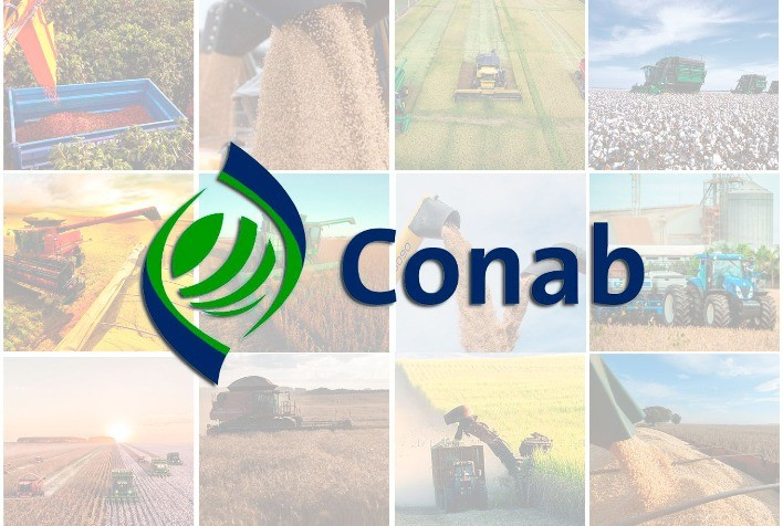Logo CONAB Portal