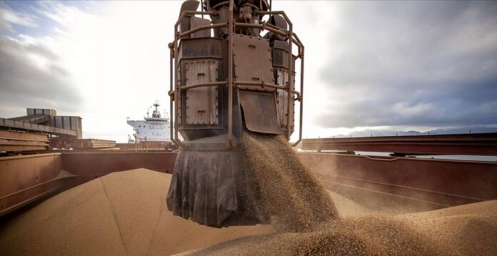 Exportacoes de soja foto: Claudio Neves Portos do Parana