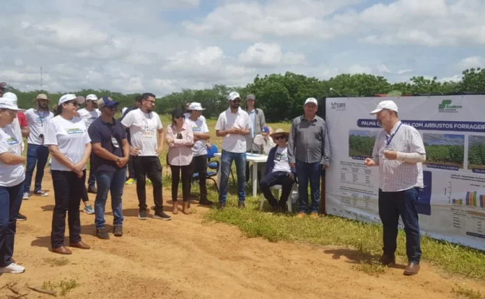 Visita técnica a estação produtiva integrou a programação do Seminário Nacional do Crédito Fundiário - Foto: Divulgação Seagro