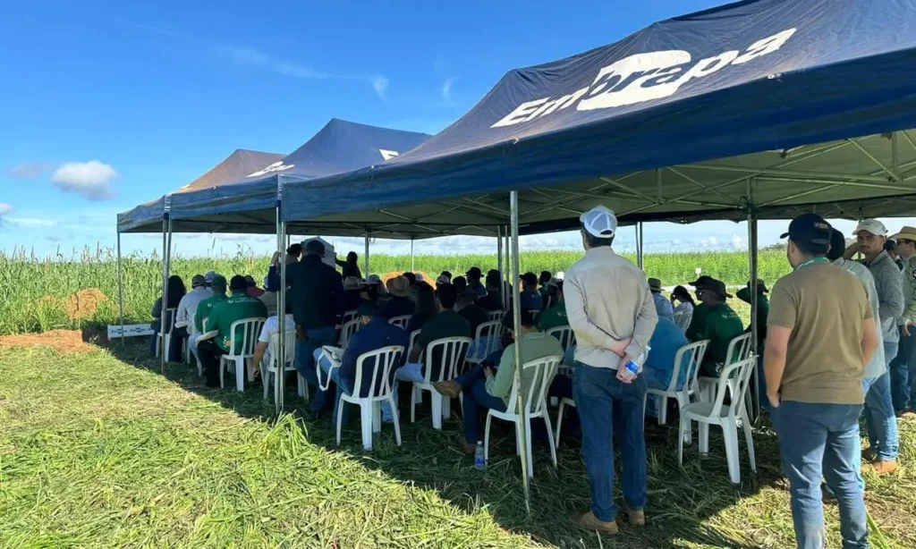 Dia de Campo em Paraíso do Tocantins