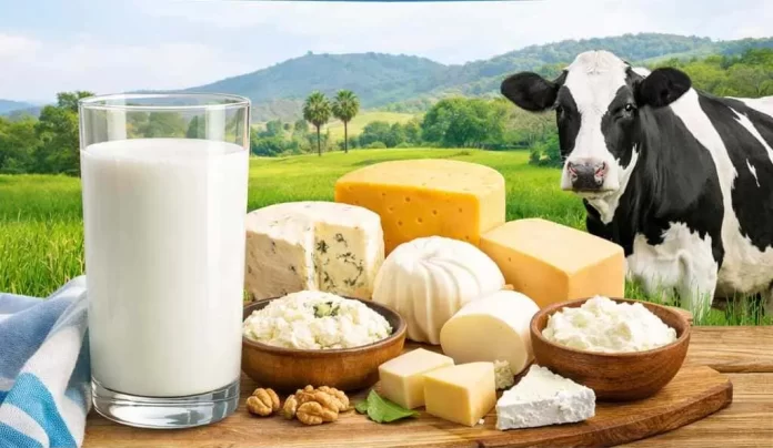 Encontro Produtores de Leite Agrotins