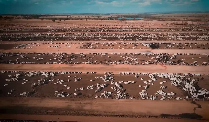 Fazenda Conforto avança em venda