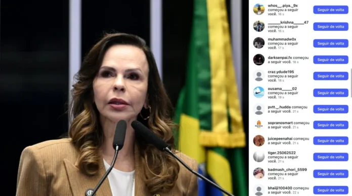 Ataque a perfil da Dorinha, novos seguidores falsos adicionados.